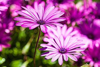 第六赛季之后 《守望先锋2》暂时不会推出更多PvE内容