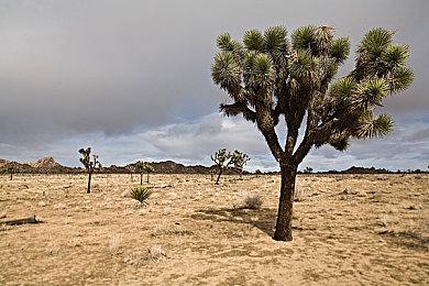 萌鸭求生，硬核突围！搜打撤新游《逃离鸭科夫》今日全球同步发售